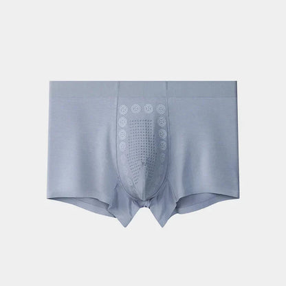 Pack of 6 Premium Ice Silk Boxer Briefs for Men | Buy 3 Get 3 Free | ₹599
