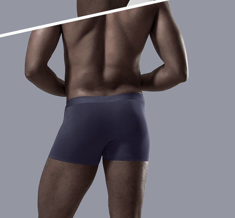 Pack of 6 Premium Ice Silk Boxer Briefs for Men | Buy 3 Get 3 Free | ₹599